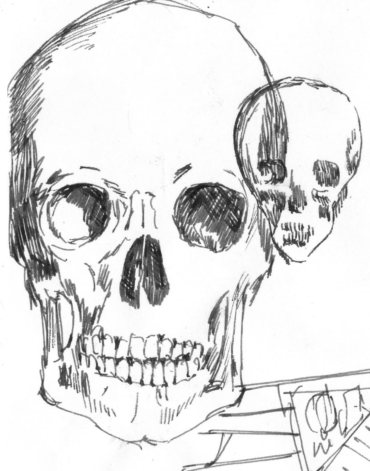 Skull